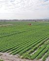 Middle East tensions push up fuel and fertiliser costs, piling pressure on SA farmers29