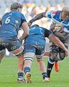 Why Hacjivah Dayimani is the Stormers' new tactical weapon44