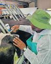 Cape Times
