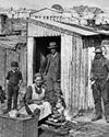 Cape Times