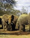 Tourism sector recovery gives South Africa's Gross Domestic Product a much-needed boost Tourism sector recovery gives South Africa's Gross Domestic Product a much-needed boost23