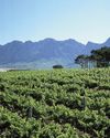 Cape Times