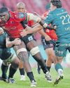 Rassie’s radar: The young bucks looking to achieve Bok status Rassie’s radar: The young bucks looking to achieve Bok status39