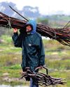 'We've had no electricity for 16 days' — Garden Route residents furious 'We've had no electricity for 16 days' — Garden Route residents furious8