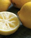 South Africa raises lemon export forecast as favourable conditions boost crop prospects23