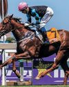 Blinkered Roman Agent to make his mark Blinkered Roman Agent to make his mark