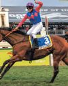 Tariffs puts brake on international racing Tariffs puts brake on international racing