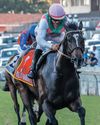 Okavango stakes his claim Okavango stakes his claim
