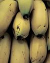 SA, Tanzania strengthen ties as import ban on agricultural products is lifted SA, Tanzania strengthen ties as import ban on agricultural products is lifted
