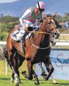 KZN CHAMPIONS SEASON SET TO LIGHT UP SOUTH AFRICAN HORSERACING KZN CHAMPIONS SEASON SET TO LIGHT UP SOUTH AFRICAN HORSERACING