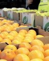 China eyes increase in South African agricultural imports, says Agbiz China eyes increase in South African agricultural imports, says Agbiz32