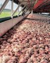 Daybreak Foods seeks PIC approval for business rescue as financial crisis escalates