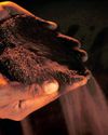 SA and the AfCFTA: a strategic opportunity to lead continent's industrial future SA and the AfCFTA: a strategic opportunity to lead continent's industrial future