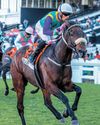 July is chrome-plated for Selukwe July is chrome-plated for Selukwe
