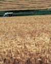 Nampo Harvest Day kicks off, spotlighting the future of South African agriculture