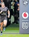 Sharks need to empty tank and beat Scarlets to avoid Stormers