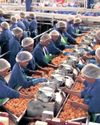 Tiger Brands secures future for 3 000 farm workers with sale of Langeberg fruit business Tiger Brands secures future for 3 000 farm workers with sale of Langeberg fruit business38