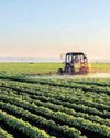 Farmer brain drain could be worse than export loss for SA agriculture Farmer brain drain could be worse than export loss for SA agriculture26