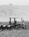 The real meaning of food security in South Africa10