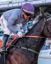 Significant scratchings from the Hollywoodbets Durban July42