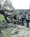 Severe weather wreaks havoc across KwaZulu-Natal0