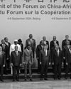 Chinese modernisation: a new model for development14