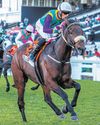 THE HOLLYWOODBETS DURBAN JULY - THE WORLD WILL BE WATCHING!29