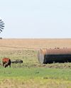 Land reform challenges hindering black farmers from thriving in South Africa20