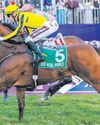 Kannemeyer plots a way to victory50