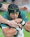 Springboks send warning shot ahead of Pumas Tests Springboks send warning shot ahead of Pumas Tests54