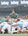Springboks hungry for more, says Reinach after Championship53