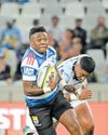 Simelane turns fullback chance into momentum in a Stormers jersey42