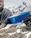 WHY MOPANI WORMS ARE THE FUTURE OF SUSTAINABLE PROTEIN WHY MOPANI WORMS ARE THE FUTURE OF SUSTAINABLE PROTEIN36
