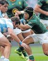 Erasmus backs 'fearless' Springboks debutant Porthen against Japan Erasmus backs 'fearless' Springboks debutant Porthen against Japan46
