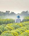 NEW RESEARCH LINKS PESTICIDES TO SERIOUS BRAIN DEVELOPMENT ISSUES IN SA27