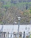 Severe blazes in the Western Cape lead to destruction and displacement10