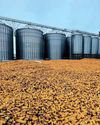 A glimpse into how resilient grain supply is achieved in China A glimpse into how resilient grain supply is achieved in China27