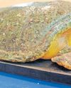 Rescued loggerhead turtle Finley recovers at uShaka Sea World7