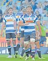 Powerhouse No 8 Roos set to boost Stormers for Durban redemption mission51