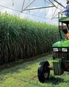 Tongaat Hulett seeks regulatory reforms to save sugar industry31