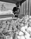Economic policy fails informal traders14