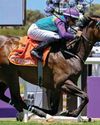 Sheer speed can see Candy Town home47