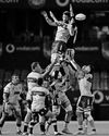 Coetzee: Nortje's move to Japan was a 'tough' sacrifice40