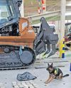 Hawks unearth R36 million cocaine haul hidden in excavators from Brazil at Durban Harbour Hawks unearth R36 million cocaine haul hidden in excavators from Brazil at Durban Harbour11