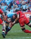 BULLS & SHARKS WIN BULLS & SHARKS WIN