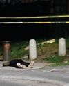 2 KILLED IN BONTAS, 1 IN HEIDEVELD8