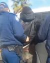 BUGGY BANDIETE BUSTED9