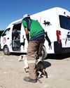 Animal rescue staff robbed & attacked in Philippi Animal rescue staff robbed & attacked in Philippi1