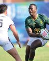 BOK WILDCARD17