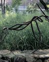 How hyenas became symbols of female power in South African art How hyenas became symbols of female power in South African art